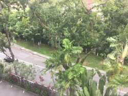 Nassim Regency (D10), Condominium #320273451
